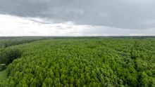 Земля в Урочище Ратово