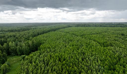 Земля в Урочище Ратово