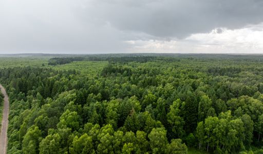 Земля в Урочище Ратово