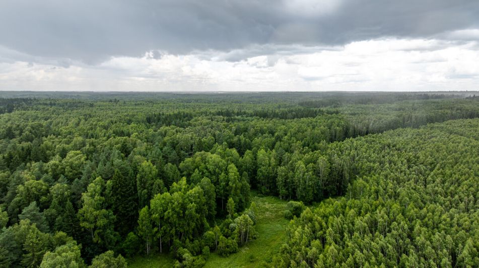 Земля в Урочище Ратово
