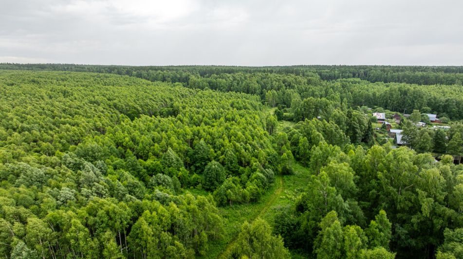 Участок 90га в Урочище Ратово