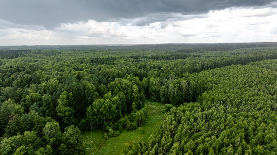 Участок 90га в Урочище Ратово