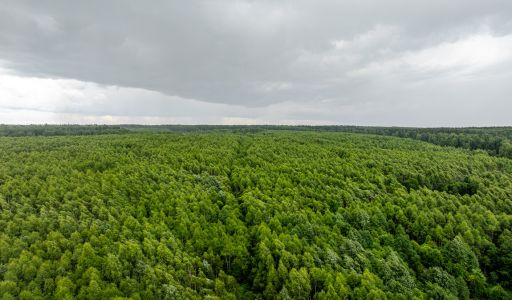 Участок 90га в Урочище Ратово