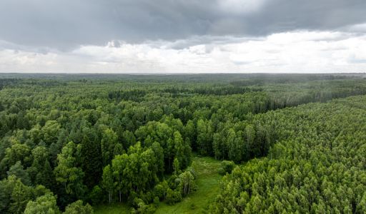 Участок 90га в Урочище Ратово