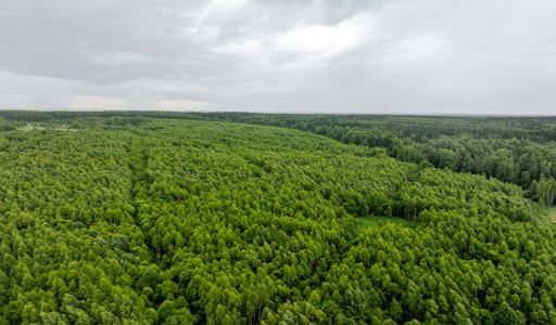 Участок 90га в Урочище Ратово