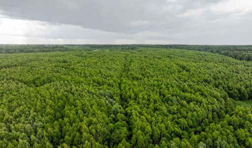 Участок 90га в Урочище Ратово