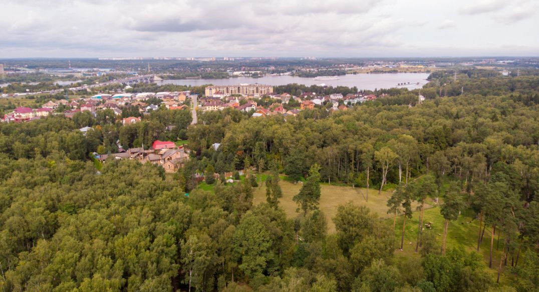 Смородинка