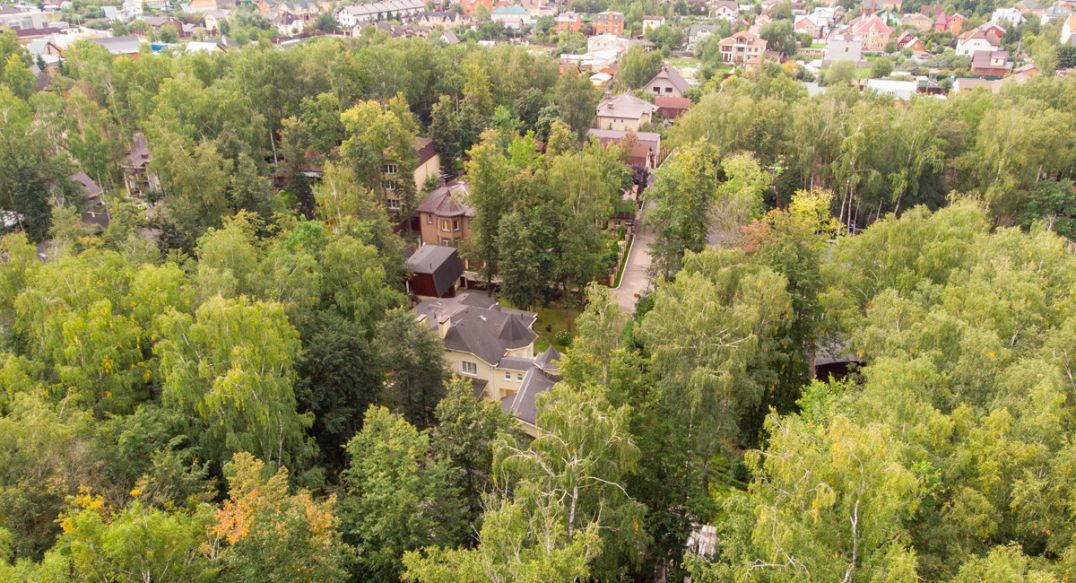 Смородинка