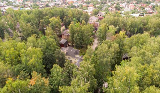 Смородинка