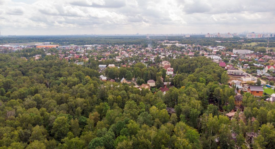 Смородинка