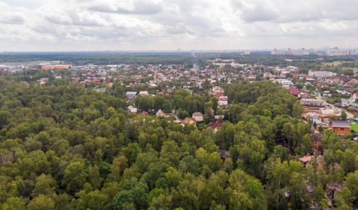 Смородинка