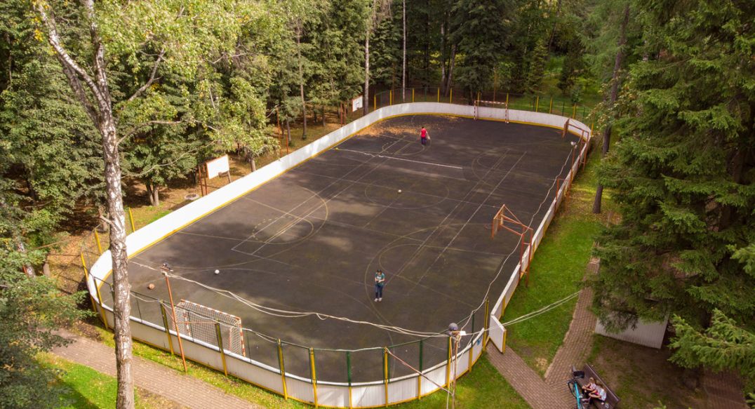 Смородинка