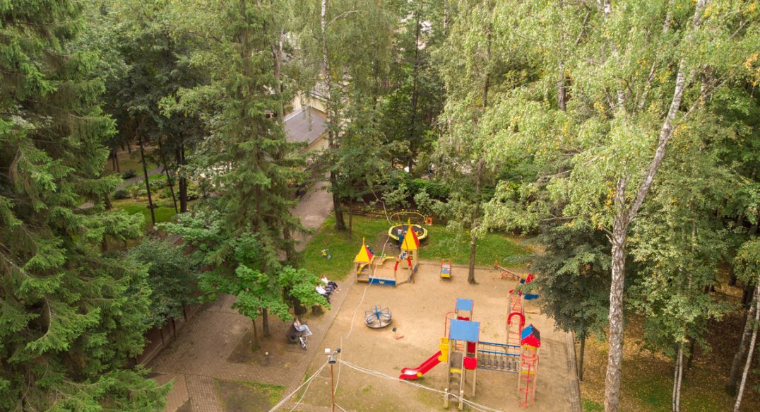 Смородинка