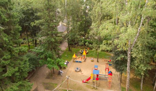 Смородинка