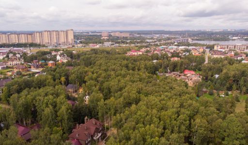 Смородинка