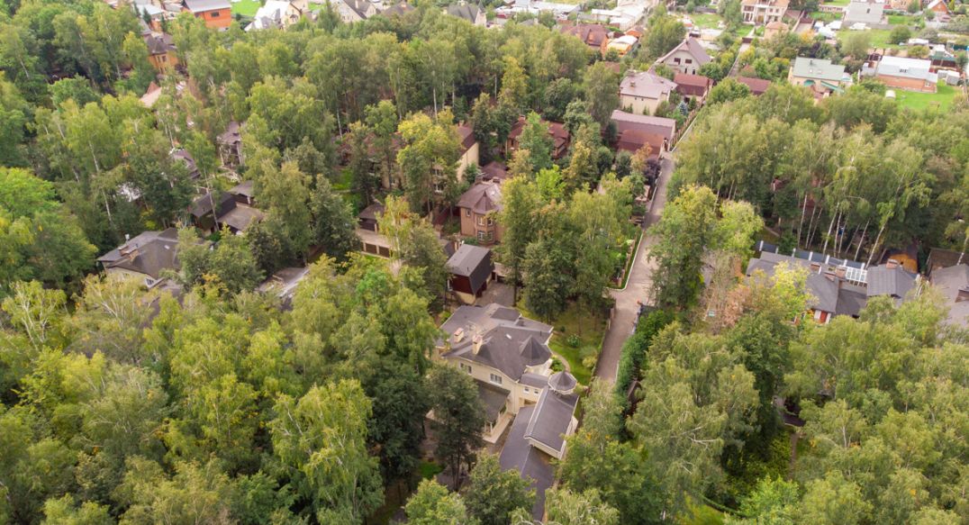 Смородинка