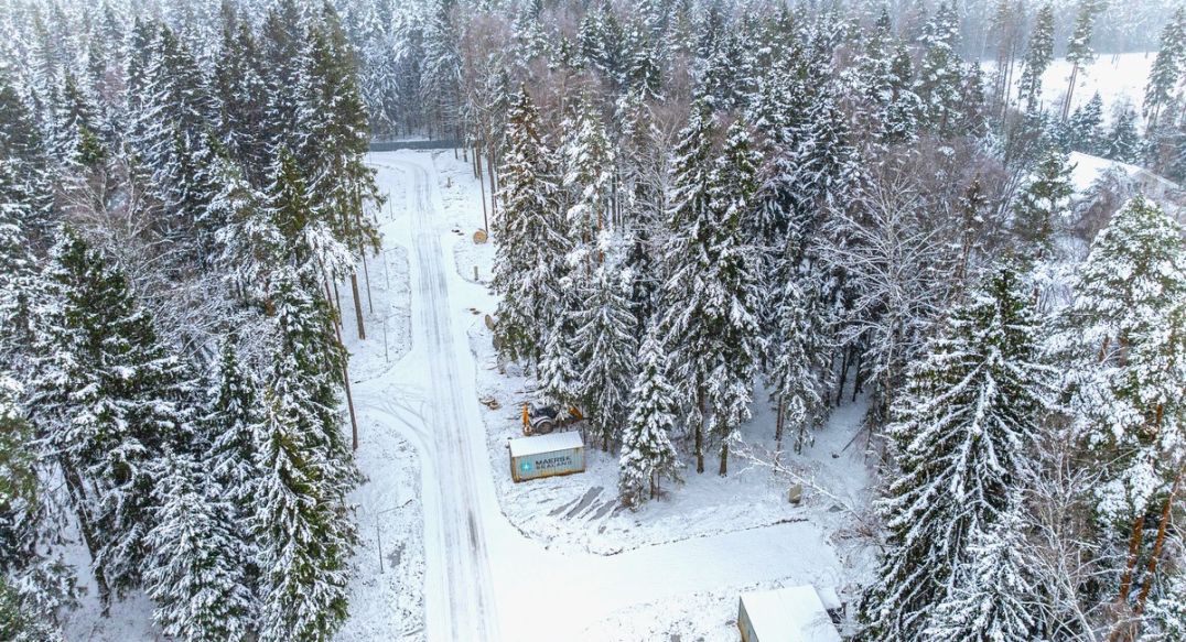 Первый лесной