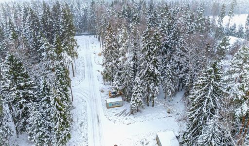 Первый лесной