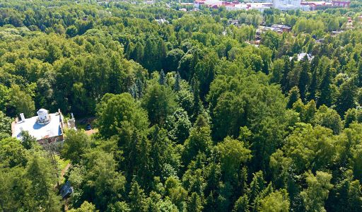 Лесной участок в Новогорске