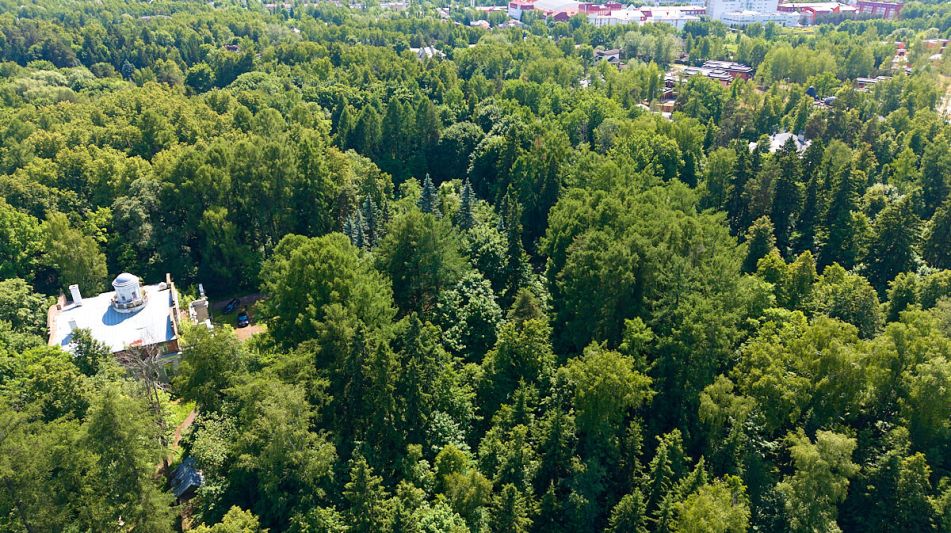 Лесной участок в Новогорске