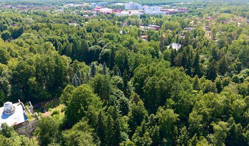 Лесной участок в Новогорске