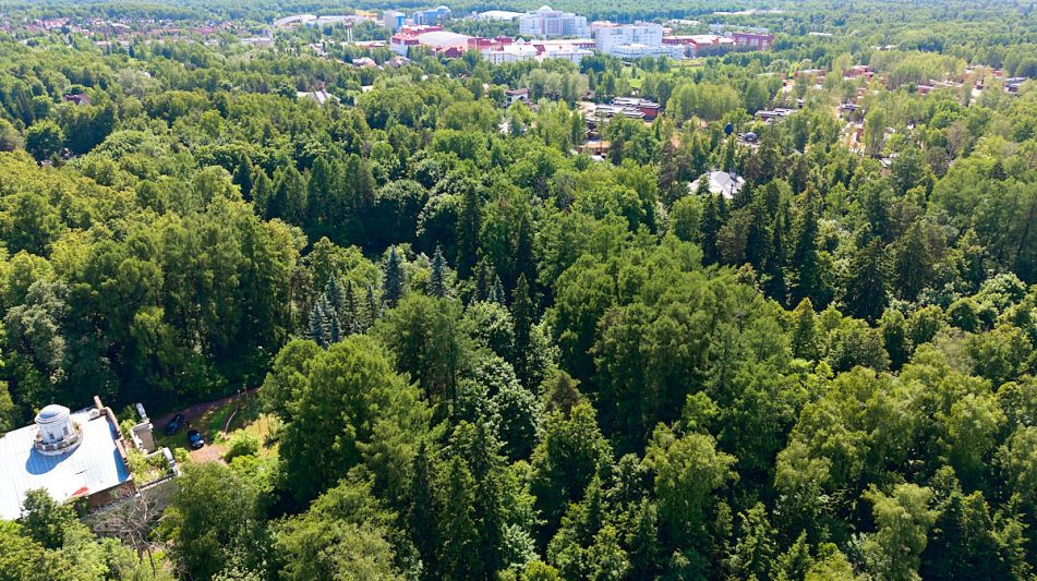 Лесной участок в Новогорске