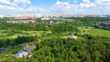 Лесной участок в Новогорске