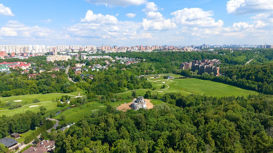Лесной участок в Новогорске