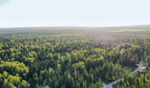 Участок в КП Ели Эстейт