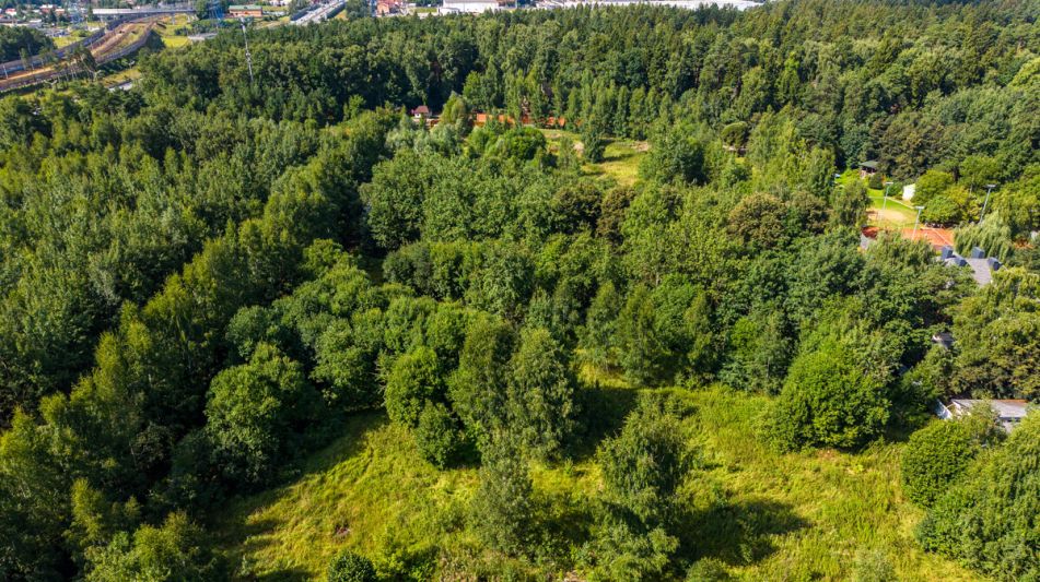 Лесной участок в КП Грибово