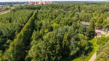Лесной участок в КП Грибово