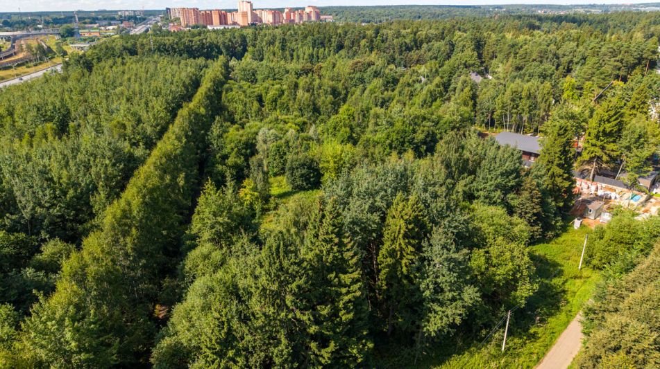 Лесной участок в КП Грибово