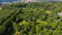 Лесной участок в КП Грибово