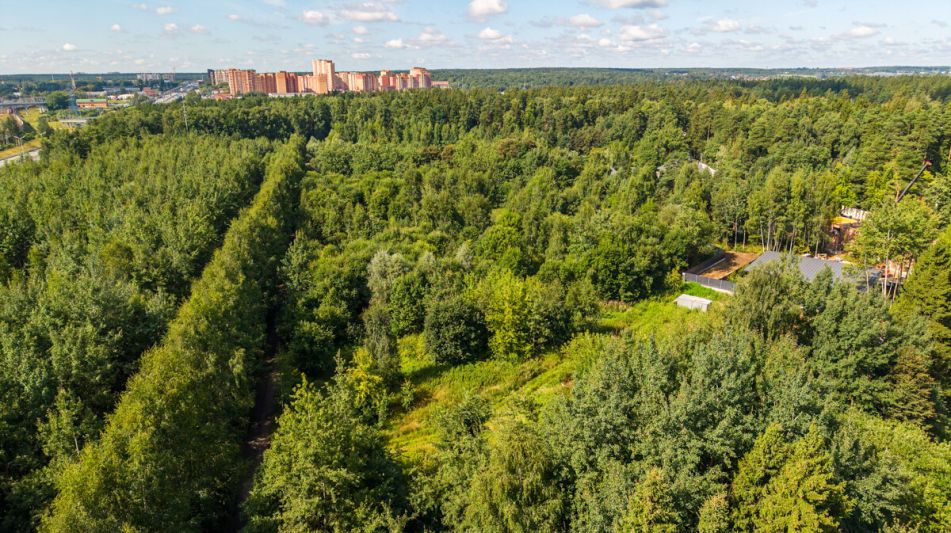 Лесной участок в КП Грибово