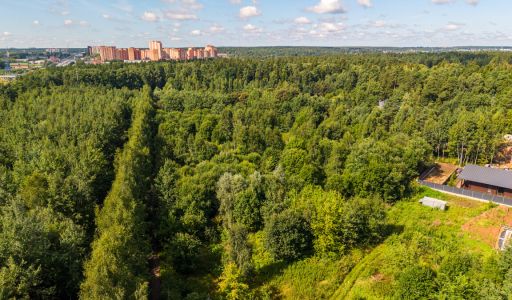 Лесной участок в КП Грибово