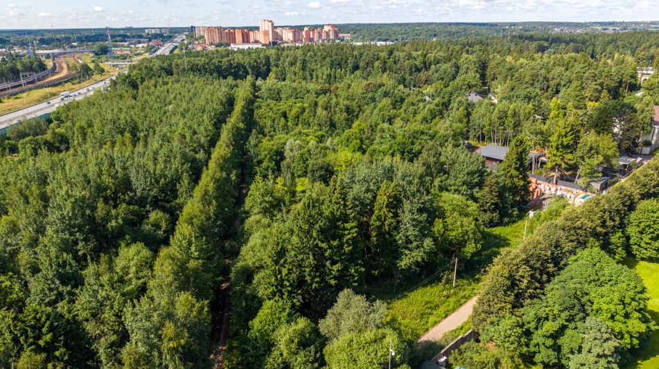 Лесной участок в КП Грибово