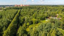 Лесной участок в КП Грибово