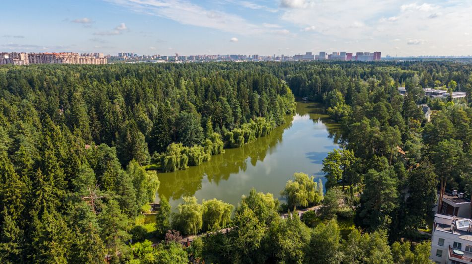 Лесной участок в КП Грибово