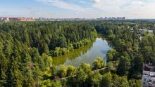 Лесной участок в КП Грибово