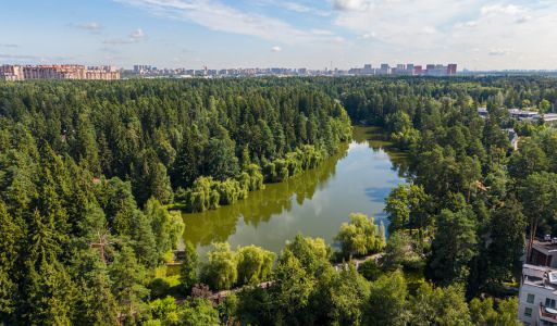 Лесной участок в КП Грибово