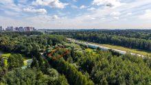 Лесной участок в КП Грибово