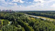 Лесной участок в КП Грибово
