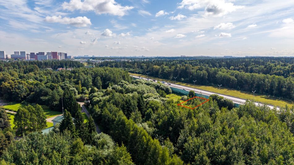 Лесной участок в КП Грибово