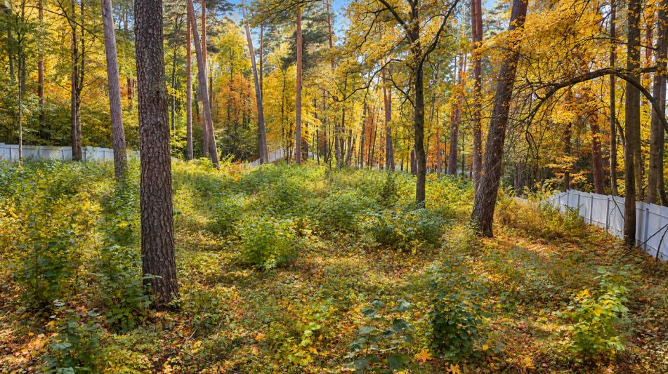 Участок в КП Серебрянные ручьи