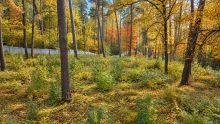 Участок в КП Серебрянные ручьи