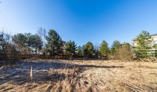 Дом в Новахово со своими соснами