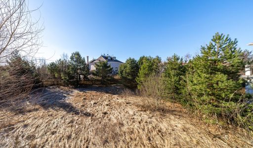 Дом в Новахово со своими соснами