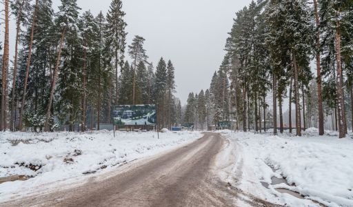 Дом у леса в Сходне