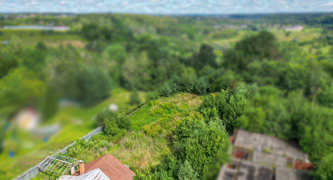 Дмитровское