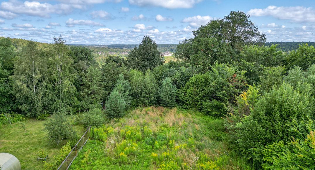 Дмитровское